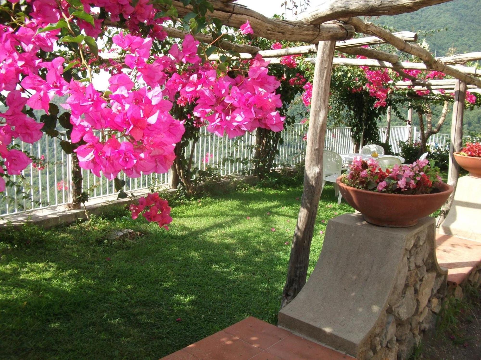 Bouganville Home Vietri Kültér fotó